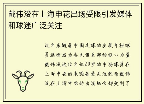 戴伟浚在上海申花出场受限引发媒体和球迷广泛关注